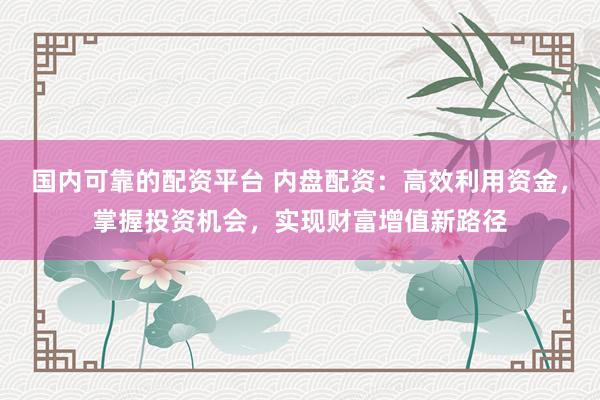 国内可靠的配资平台 内盘配资：高效利用资金，掌握投资机会，实现财富增值新路径