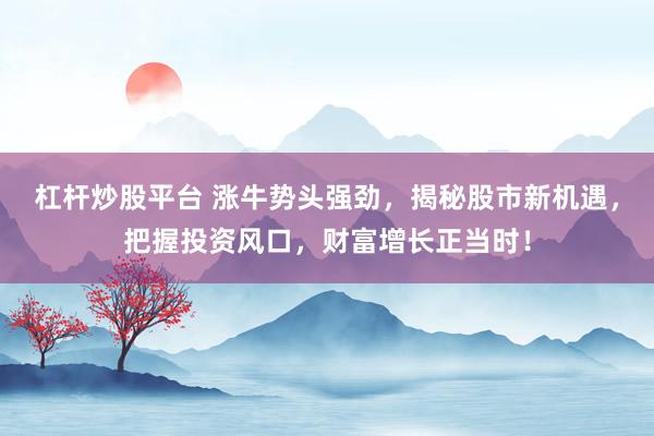 杠杆炒股平台 涨牛势头强劲，揭秘股市新机遇，把握投资风口，财富增长正当时！