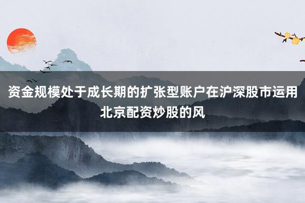 资金规模处于成长期的扩张型账户在沪深股市运用北京配资炒股的风