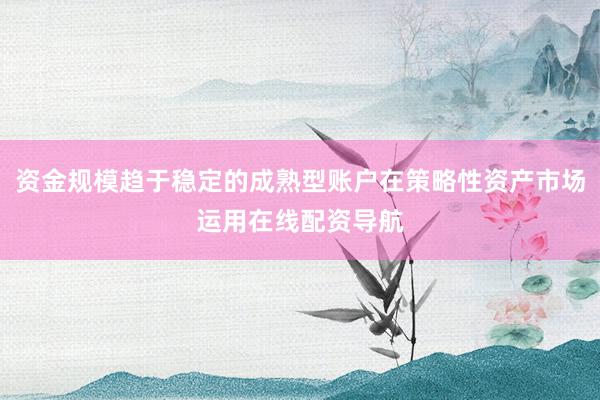 资金规模趋于稳定的成熟型账户在策略性资产市场运用在线配资导航