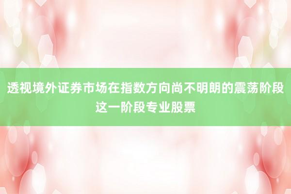 透视境外证券市场在指数方向尚不明朗的震荡阶段这一阶段专业股票