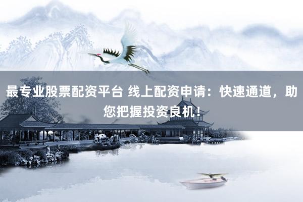 最专业股票配资平台 线上配资申请：快速通道，助您把握投资良机！