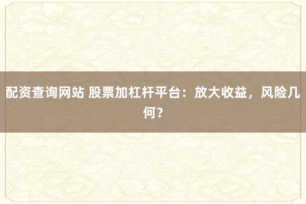 配资查询网站 股票加杠杆平台：放大收益，风险几何？